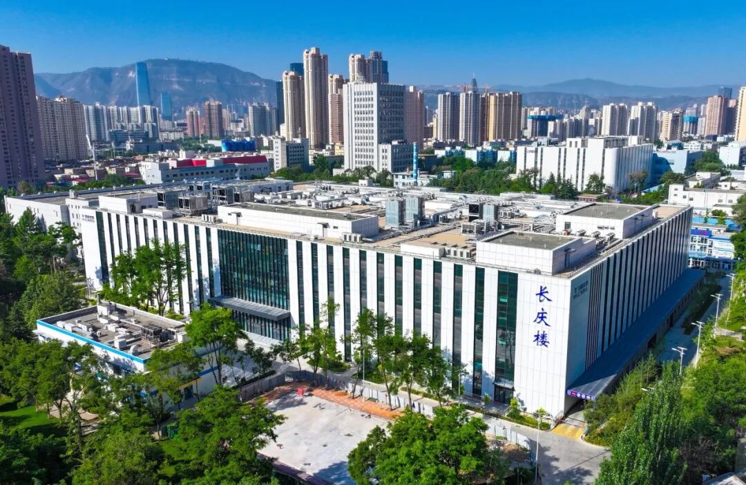 1776736256450025261.jpg 2.jpg