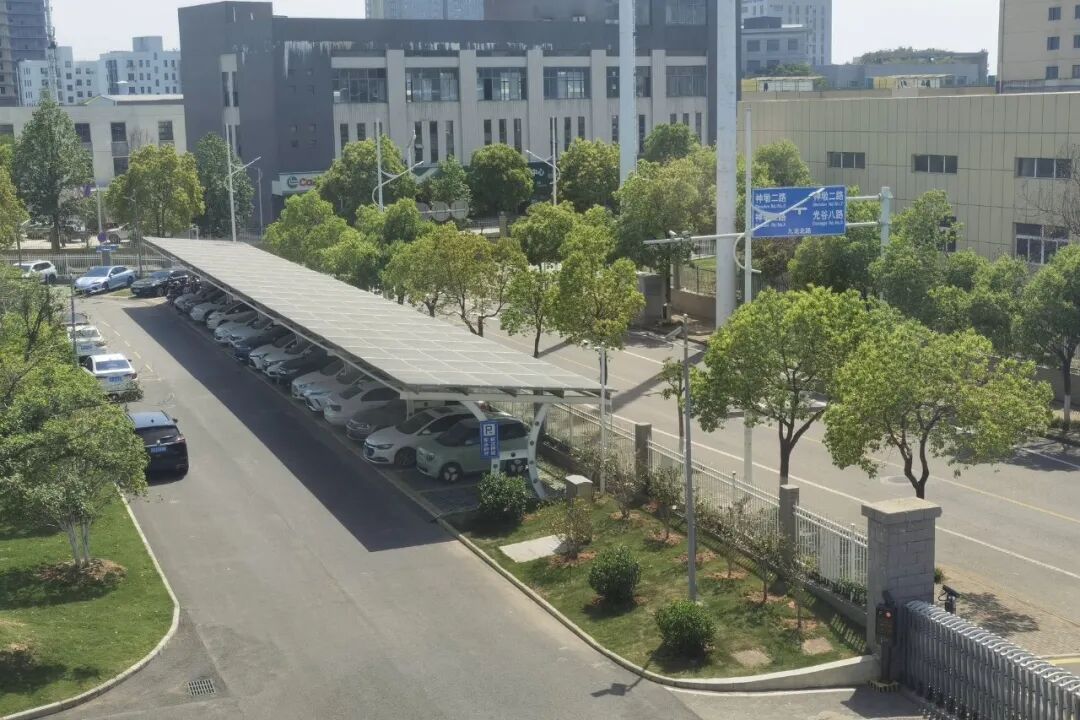 1776740475362036730.jpg 3.jpg