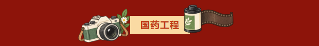1791534029012089643.png
