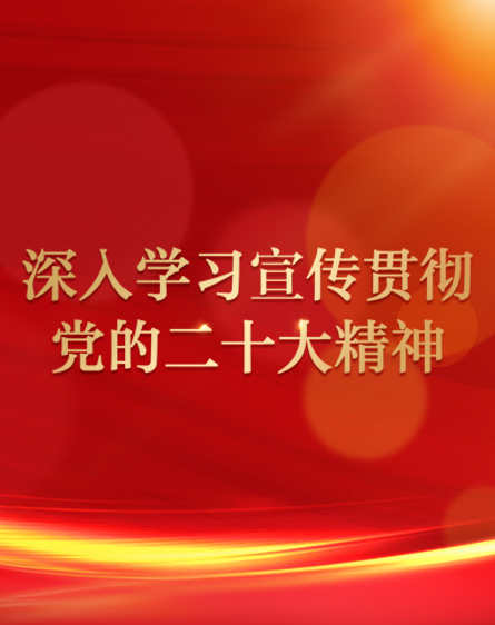 深入学习宣传贯彻党的二十大精神