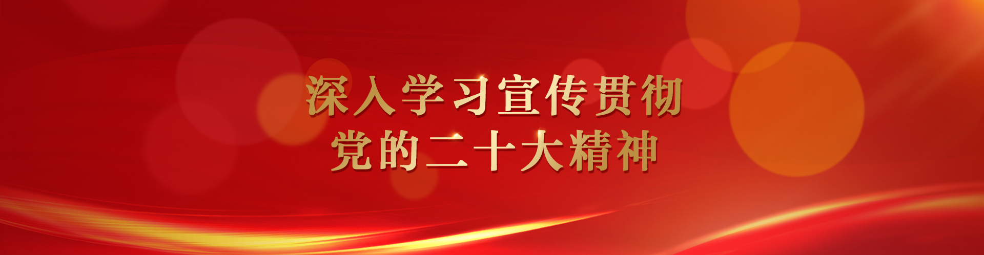 深入学习宣传贯彻党的二十大精神