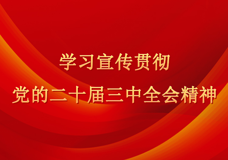 学习宣传贯彻党的二十届三中全会精神